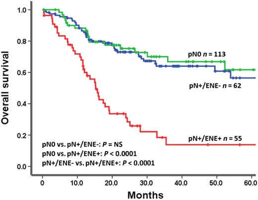 Figure 2. Impact of ENE on survival (TCGA cohort). Kaplan–Meier plot for overall survival according to lymph node status. P values were calculated by using the log-rank test.