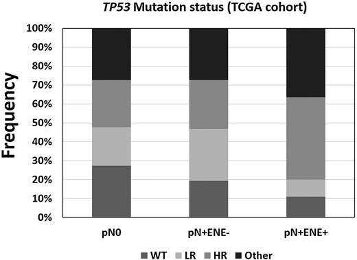 Figure 3. Distribution of TP53 mutation types (TCGA cohort). Mutations were classified according to the EAp53 scoring system; WT (wild-type), LR (low-risk missense mutation), HR (high-risk missense mutation), Other (any type of mutations except missense mutations), and grouped by lymph node status.