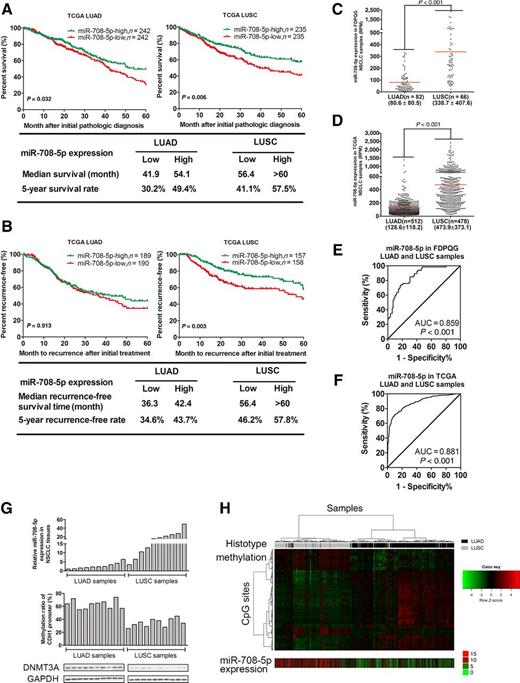 Figure 5. miR-708-5p correlates with prognosis and recurrence in NSCLC. A, Kaplan–Meier analysis of the 5-year survival rate and overall survival time (OS) of NSCLC patients with LUAD (left) or LUSC (right), for whom OS information was available in the TCGA lung cancer dataset. The patients were stratified by high group versus low group depending on the expression of miR-708-5p. B, Kaplan–Meier analysis of the recurrence of NSCLC patients with LUAD (left) or LUSC (right), for whom recurrence information was available in the TCGA lung cancer dataset. The patients were stratified depending on the expression of miR-708-5p, as indicated. C and D, miR-708-5p expression in LUAD and LUSC patients from FDPQG cohort (C) and TCGA cohort (D). The expression of miR-708-5p was extraordinarily higher in LUSC patients than that in LUAD patients. E and F, ROC curve analysis showing the ability of miR-708-5p expression to discriminate between LUAD and LUSC patients from FDPQG cohort (E) and TCGA cohort (F). G, The association of miR-708-5p expression with the protein level of DNMT3A and methylation level of CpG sites of CDH1 promoter in 20 NSCLC tissue samples (10 LUAD and 10 LUSC). Top, miR-708-5p expression measured by qRT-PCR; middle, the methylation level of CDH1 promoter region detected by bisulfite sequencing. Bottom, the protein level of DNMT3A measured by Western blotting. GAPDH was used as a loading control. H, The heatmap of miR-708-5p expression and 425 differentially methylated CpG sites from 111 genes in TCGA cohort. Top, two-dimensional hierarchical clustering based on the beta values of those CpG sites with different methylation status between TCGA LUAD and LUSC samples. CpG sites are in rows, and samples are in columns. Bottom, miR-708-5p expression.
