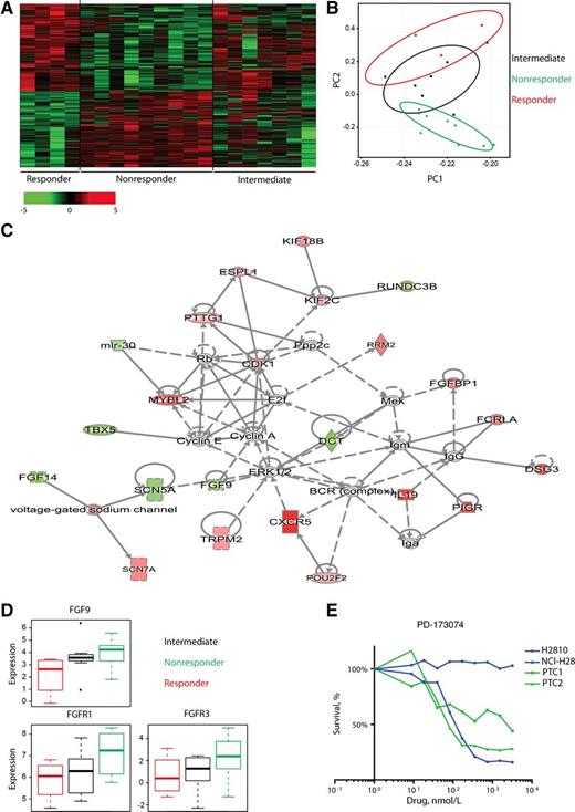 Figure 3. Gene expression profiling of the differently responding mesothelioma subgroups. A, Heatmap showing 285 genes that are differentially expressed between responders and nonresponders. Green bars depict genes that are downregulated, whereas red bars depict upregulated genes in nonresponders. The gene expression profile of the intermediate group is different from the expression profile of responders and nonresponders. The list of genes is shown in Supplementary Table S2. B, PCA separates responders (red) from nonresponders (green). The intermediate group (black) is located between these groups. C, IPA illustrating the most significant network containing 23 DEGs between responders and nonresponders. Green: upregulated, red: downregulated DEGs in nonresponders. D, Boxplot depicting gene expression of FGF9 and interaction partners FGFR1 and FGFR3 in responders (red), nonresponders (green), and intermediate responders (black). The level of gene expression is indicated on the y-axis. Boxplot shows mean expression level with 75th (top) and 25th (bottom) percentile value. Whiskers indicate range of values. E, Dose–response curves of two nonresponder cultures and reference cell lines NCI-H28 and H2810, treated with increasing concentrations of the FGFR inhibitor PD-173074. Cell viability is measured.