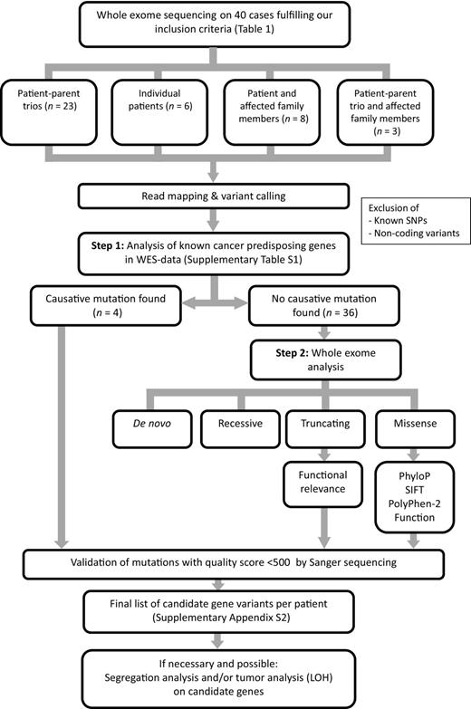 Figure 1. Workflow of whole-exome sequencing in selected individuals with childhood cancer. As a first step, a cancer gene panel analysis was performed, by which 4 causative mutations were identified. In the remaining 36 patients, whole-exome analysis was performed, focusing on de novo, recessive, truncating, and missense variants. Abbreviations: LOH, loss of heterozygosity; SNP, single nucleotide polymorphism.