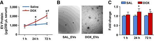 Figure 2. DOX-treated mouse serum contained more EVs and higher level of protein-bound 4HNE than SAL-treated mouse serum. A, EV protein levels in 250 μL serum from saline-treated (blue line) and DOX-treated (red line) mice (mean ± SD, n = 5–6; *, P < 0.01 vs. 1 hour, #, P < 0.01 vs. saline). B, Representative electron micrograph of mouse serum EVs (low magnification, ×23,000) at 72 hours after treatment. C, Fold change of protein-bound 4HNE in EVs from mice treated with saline (SAL) or DOX for 1, 24, and 72 hours (mean ± SD; *, P < 0.05 vs. saline at the same time point).
