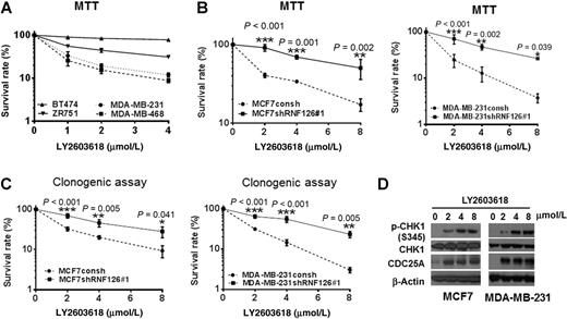 Figure 4. CHEK1 inhibition by LY2603618 in parental cells compared with cells depleted of RNF126. A, An MTT assay following CHEK1 inhibition by LY2603618 in breast cancer cells with higher RNF126 expression versus breast cancer cells with lower RNF126 expression. Cells were treated with various concentrations of LY2603618 for 72 hours; n = 3 (two-way ANOVA, PBT474 vs. MDA-MB-231 < 0.001; PBT474 vs. MDA-MB-468 < 0.001; PZR751 vs. MDA-MB-231 P < 0.001; PZR751 vs. MDA-MB-468 < 0.001). B, MTT assay for observing the effect of the CHEK1 inhibitor, LY2603618, on MCF7 and MDA-MB-231 cell proliferation. Cells were treated with various concentrations of LY2603618 for 72 hours; n = 3 (two-way ANOVA). C, Clonogenic survival following CHEK1 inhibition by LY2603618 in MCF7 and MDA-MB-231 cells; n = 3 (two-way ANOVA). D, CHEK1 inhibition was monitored by measuring levels of CHEK1 p-S345 and CDC25A by Western blots. Cells were treated with various concentrations of LY2603618 for 8 hours. The representative result from three independent experiments is presented.