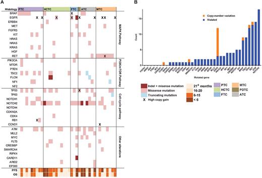 Figure 2. Tumor mutational profiling among aggressive, ATC patients treated with everolimus. A, Mutational landscape among aggressive, advanced thyroid tumors arranged by histologic subtype. Each column represents a single tumor sample, and the pink–blue coding reflects the type of genomic alteration identified. The progression-free survival (PFS) and overall survival (OS) for the corresponding patient is color coded according to the orange heatmap shown. PTC, papillary thyroid cancer; HCTC, Hurthle cell thyroid cancer; FTC, follicular thyroid cancer; MTC, medullary thyroid cancer; PDTC, poorly differentiated thyroid cancer; ATC, anaplastic thyroid cancer. B, Total mutational count among aggressive, ATC patients (N = 38) who underwent targeted next-generation sequencing. Each column represents the total number of mutations identified among the tested tumor samples (not mutually exclusive) in order of frequency. Copy number variation count is also provided.