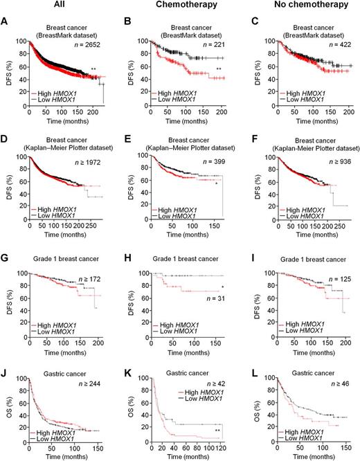 Figure 4. HMOX1 expression is associated with poor prognosis in chemotherapy-treated patients. Kaplan–Meier survival curves showing disease-free survival (DFS) of breast cancer patients (A–I) or overall survival (OS) of gastric cancer patients (J–L) with low (black) and high (red) tumoral expression of HMOX1, in the entire datasets (left column), in patients receiving chemotherapy (middle column) and in patients not receiving chemotherapy (right column). Data were generated using Breastmark (ref. 28; A–C) or Kaplan–Meier plotter (refs. 29, 31; D–L) datasets.*, P < 0.05; **, P < 0.01.