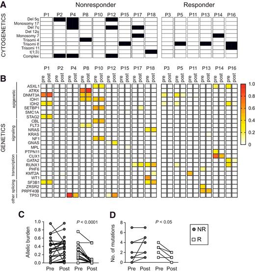 Figure 2. Reduced allelic burden after NK-cell infusion in responders. A, Cytogenetic aberrations in nonresponders (NR) and responders (R). B, Visualization of the allelic burden for 26 detected mutations before (pre) and after (post) NK-cell infusion. C, Quantification of the allelic burden of each detected mutation and (D) the number of mutations in NR (filled circles, n = 9) and R (open squares, n = 6) before and after NK-cell infusion.