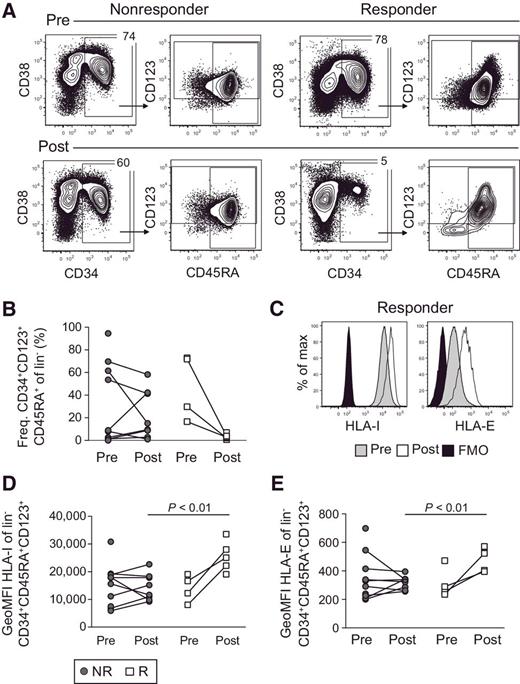 Figure 3. Loss of myeloblasts and signs of immunoediting in the blast compartment. A, Representative staining of lin−CD34+CD45RA+CD123+ myeloblasts and (B) frequencies of these cells in nonresponders (NR; filled circles) and responders (R; open squares) before (pre) and after (post) NK-cell infusion. C, Expression of total HLA class I and HLA-E on lin−CD34+CD45RA+CD123+ cells before and after NK-cell infusion in one patient who achieved a CR. FMO, fluorescence minus one. D and E, Summarized results of total HLA class I and HLA-E on lin−CD34+CD45RA+CD123+ cells for the NR and R groups presented as geometric mean fluorescence intensity (GeoMFI). NR (n = 10) and R (n = 4–5).