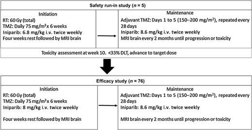 Figure 1. Study schema for the safety run-in and efficacy study. Intention-to-treat analysis included all patients treated at the target dose (N = 81). Gy = gray; DLT = dose-limiting toxicity.