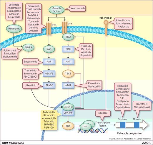 Figure 1. A map of combination strategies testing CDK4/6 inhibitors in clinical trials. CDK4/6 kinases are a major hub for integrating proliferative signals in the cell. Cyclin D is induced by multiple mitogenic pathways, leading to CDK4/6 activation, inactivation of the pRb protein, and transcription of the cell-cycle machinery required for DNA replication (S-phase) and mitosis. Several CDK4/6 inhibitors (with differential activities on other CDK family members; yellow box) are currently being tested in clinical trials for a wide spectrum of tumors either as single agents or in combination with other agents (red boxes). These agents include inhibitors of hormone synthesis and their receptors, as well as antibodies or inhibitors targeting growth factors, receptor tyrosine kinases (RTK), and the downstream RAS-RAF-MEK-ERK or PI3K-AKT-mTOR pathways. CDK4/6 may in turn regulate the latter pathway by phosphorylating IRS2 and TSC2. CDK4/6 inhibitors are also being tested in clinical trials in combination with inhibitors of the p53 destabilizing protein HDM2 (HDM201), as well as classical chemotherapeutic agents (e.g., DNA-damaging agents targeting S-phase or microtubule poisons targeting mitosis), and new antibodies targeting PD-1 or PD-L1 for immunotherapy. Red boxes list only those agents currently being tested in combination therapies with CDK4/6 inhibitors. Additional clinical trials in which CDK4/6 inhibitors are combined with other cellular pathways (e.g., proteasome-dependent protein degradation, control of apoptosis by BCL2 or PIM kinases, as well as JAK or Hedgehog-dependent signaling pathways) are not shown for clarity. 5-FU, 5-fluorouracil.