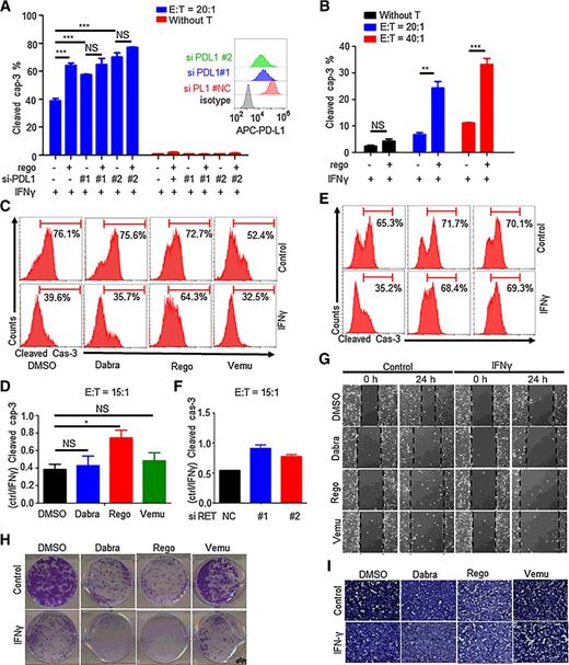 Figure 3. Function of regorafenib or RET knockdown in melanoma cells. A, The percentage of cleaved caspase-3–positive cells among PD-L1 knockdown or regorafenib-pretreated ME4405 cells in the presence of IFNγ. The cells were cocultured with activated human peripheral blood T cells for 8 hours. PD-L1 was effectively interfered. B, The percentage of cleaved caspase-3–positive cells among regorafenib-pretreated B16/F10 cells in the presence of IFNγ. The cells were cocultured with activated OT-1 T cells for 3 hours. C and D, The percentage of cleaved caspase-3–positive cells among dabrafenib-, regorafenib-, and vemurafenib-pretreated ME4405 cells with or without IFNγ exposure. B, Histogram of cleaved caspase-3 from a representative experiment. C, Summary of data from B. Graph shows fold change of cleaved caspase-3 when comparing the IFNγ absence and presence groups. E and F, The percentage of cleaved caspase-3–positive cells among RET knockdown ME4405 cells with or without IFNγ exposure. G, Cell migration of ME4405 cells after indicated treatment was measured by wound healing assay (24 hours). H, Colony formation of ME4405 cells after indicated treatment was measured by clonogenic assay (10 days). I, Cell invasion of ME4405 cells after indicated treatment was measured by Transwell assay (16 hours). Error bars, SEM. Unpaired two-tailed t test. NS, not significant; ***, P < 0.001; **, P < 0.01; *, P < 0.05.