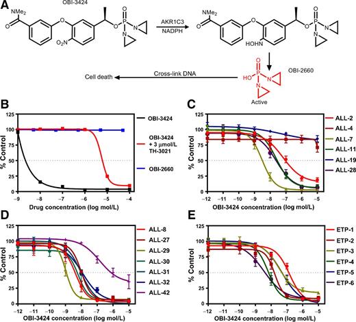 Figure 1. In vitro activity of OBI-3424. A, Chemical structure and mechanism of activation of OBI-3424. B, Cytotoxicity of OBI-3424 against H460 cells ± TH-3021, a specific inhibitor of AKR1C3. Cytotoxicity of OBI-3424 against a panel of six B-ALL (C), seven T-ALL (D), and six ETP-ALL (E) PDXs. Data in C–E are displayed as the mean ± SEM of biological triplicates.