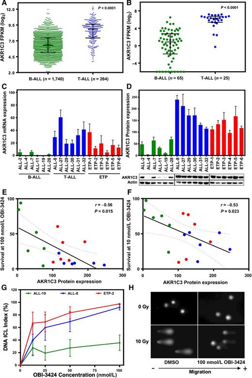 Figure 2. AKR1C3 expression in primary ALL and PDX cells and quantification of DNA ICLs. RNA-seq data of primary (A) and PDX (B) B-ALL versus T-ALL cells expressed as FPKM on a log2 scale. AKR1C3 mRNA (C) and protein (D) expression levels in a panel of six B-ALL, six T-ALL, and six ETP-ALL PDXs. A representative immunoblot is shown in D. Correlations of PDX cell survival following treatment with OBI-3424 and AKR1C3 protein expression at 100 nmol/L (E) or 10 nmol/L (F) OBI-3424. G, Comet assay results showing DNA ICL indices in three ALL PDXs (ALL-8, ETP-2, and ALL-19) following OBI-3424 treatment (4 hours). H, Representative comet images from G are shown for ALL-8. In A and B, bars represent the median and interquartile range. Data in C, D, and G are displayed as the mean ± SEM of biological triplicates. Solid and dashed lines in E and F represent linear regression and 95% confidence interval, respectively.
