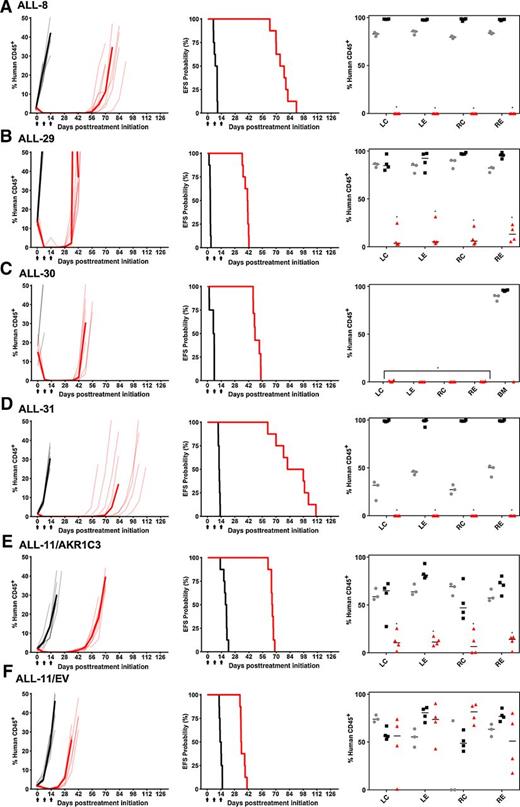 Figure 4. In vivo efficacy of OBI-3424 against ALL PDXs. Mice engrafted with ALL-8 (A), ALL-29 (B), ALL-30 (C), ALL-31 (D), ALL-11/AKR1C3 (E), and ALL-11/EV (F) were treated with OBI-3424 (2.5 mg/kg i.p. once weekly × 3 weeks, red lines) or vehicle control (black lines). The lighter hued lines represent individual mice for each treatment (vehicle or OBI-3424), whereas the darker line represents the median values for each group. Engraftment of each PDX, showing the %huCD45+ over time (left). Mouse EFS (see Table 1 and Supplementary Table S13 for P; middle). Arrows on the x axes represent the three treatments. Percent infiltration of femoral bone marrow pretreatment (gray circles), control mice at event (black squares), or OBI-3424–treated mice at day 28 posttreatment initiation (red triangles; right). BM, whole-bone marrow; LC, left central region; LE, left endosteal region; RC, right central region; RE, right endosteal region (*, P < 0.0001 comparing OBI-3424–treated and control mice at event).