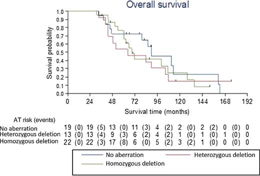 Figure 3. OS according to CDKN2A status (N = 54 patients with interpretable results for the array-CGH analysis).