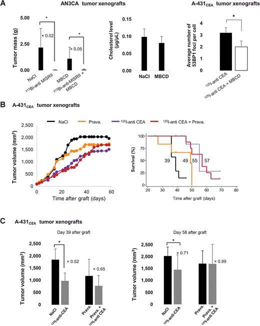 Figure 6. In vivo effects of drugs that modify cholesterol metabolism on tumor growth, and DNA damage formation. A, Mice bearing i.p. AN3CA tumor cell xenografts were treated with (i) NaCl, (ii) daily i.p. injections of 300 mg/kg MBCD from days 7 to 13 after graft, (iii) one injection of 37 MBq of 213Bi-anti-MISRII mAb at day 11, or (iv) both 213Bi-anti-MISRII mAb and MBCD. At day 30 after graft, mice were sacrificed, tumors were collected, and the total tumor mass was determined (left). Tumors were also collected in mice (n = 3 mice/group) for assessing MBCD effect on the tumor cholesterol level (middle). IHC detection of 53BP1 foci in tumor sections from mice bearing i.p. A-431CEA cell tumor xenografts and killed 24 hours after (i) two injections of 37 MBq of 125I-anti-CEA mAb at days 8 and 11 after graft, or (ii) after daily i.p. injections of MBCD from days 6 to 15 after graft (MBCD) combined with two injections of 37 MBq of 125I-anti-CEA mAb at days 8 and 11 after graft (right). B, Mice bearing subcutaneous A-431CEA tumor cell xenografts were treated with (i) NaCl, or (ii) daily i.p. injections of 40 mg/kg pravastatin from day 10 before graft until day 18 after graft, or (iii) two injections of 37 MBq of 125I-anti-CEA mAb at days 8 and 11 after graft, or (iv) 125I-anti-CEA mAb and MBCD. The average tumor volume in each treatment group (n = 8) was determined, and Kaplan–Meier survival curves were established. Mice were sacrificed when tumor volume reached 2,000 mm3. C, The ratio between the tumor masses of the indicated groups was calculated. *, P < 0.05 compared with control animals.