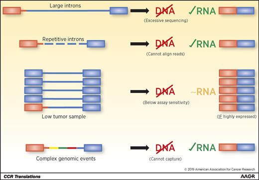 Figure 1. Schematic representation of underlying genomic complexities that can lead to false-negative gene fusion results in DNA-based NGS analysis. In some cases, RNA-based approaches may overcome the limitations of DNA-based testing.