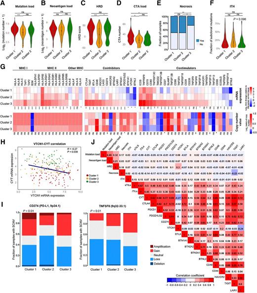 Figure 4. Potential intrinsic immune escape mechanisms of TNBC. Comparison of mutation loads (A), neoantigen load (B), HRD scores (C), CTA numbers (D), necrosis (E), and ITH scores (F) among the three clusters. In the violin plots, the mean values are plotted as red dots, and the boxplot was drawn inside the violin plot. G, Comparison of the log2-fold changes in mRNA expression at the tumor sites relative to the paired normal tissue and log2 ratio of the copy-number values of the MHC molecules, costimulators and coinhibitors for each cluster. For costimulators and coinhibitors, only molecules having significantly differential expression between the tumor site and the paired normal site (P < 0.01) were illustrated. H, Negative correlation between VTCN1 mRNA expression and CYT. I, Distributions of SCNVs categories of CD274 and TNFSF8. J, Correlations between tumor immunogenicity indicators, immune infiltration, and expression of immune checkpoint molecules (***, P < 0.001; **, 0.001 < P < 0.01; *, 0.01 < P < 0.05; ns, P > 0.05).