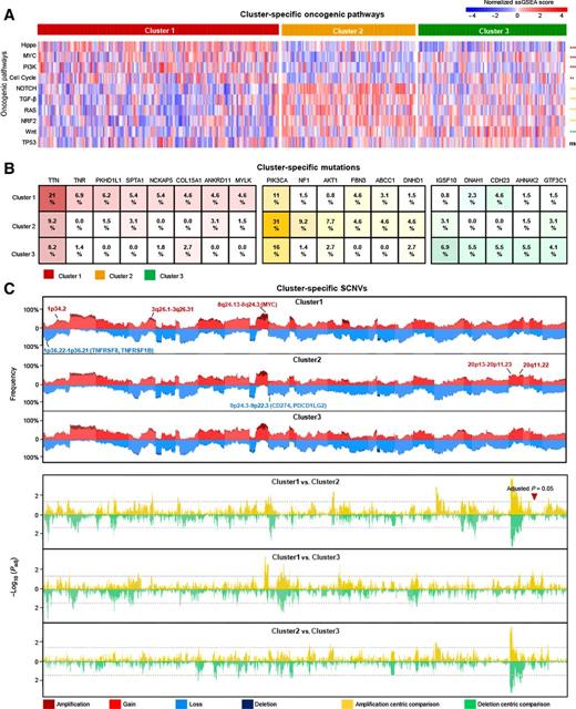Figure 5. Correlation of genomic alterations with low immune infiltration in TNBC. A, Heatmap of normalized enrichment scores of 10 oncogenic pathways among clusters. B, Genes showing a significant difference (Padj < 0.05) in the comparison between every two clusters among the three clusters for nonsilent mutations are illustrated. The color represents the cluster in which the gene had the highest mutation frequency, and the color saturation represents the mutation frequency. C, Comparison of the SCNVs between every two clusters among the three clusters. The top plot illustrates the frequency of the amplification (dark red), gain (light red), loss (light blue), and deletion (dark blue) of each gene in each cluster, and the bottom plot illustrates the −log10 Padj value of each gene when compared between every two clusters among the three clusters in the amplification-centric (light yellow) or deletion-centric (light green) calculations.