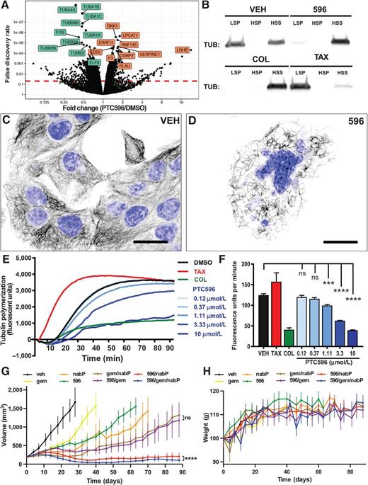 Effective Delivery of a Microtubule Polymerization Inhibitor Synergizes ...