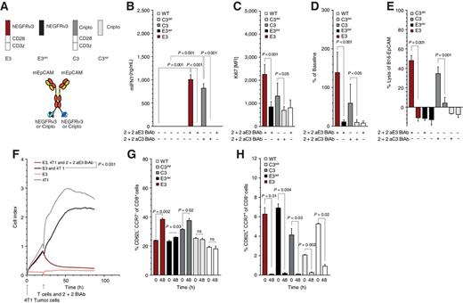 Figure 1. SAR T cells can be triggered by BiAb to induce T-cell activation, proliferation, and tumor cell lysis. A, Schematic overview of the constructs used in experiments for B to H: tetravalent 2 + 2 anti-EpCAM × anti-EGFRvIII (or anti-Cripto) BiAb and receptor constructs E3, E3del, C3, and C3del. B, Quantification of E3, E3del, C3, C3del, and untransduced murine T-cell activation when cultured in 96-well plates, coated with the corresponding 2 + 2 BiAb (10 μg/mL). C, D, G, H, Transduced T cells were cocultured with Panc02-OVA-EpCAM+ tumor cells and 2 + 2 BiAb (1 μg/mL). The absolute number and the proliferation rate of the T cells were determined by staining cells for intracellular Ki67 before and after coculture. For phenotypic analysis, T cells were stained for CD8, CCR7, and CD62L surface expression. CD8+CCR7+CD62L+ T cells were defined as central memory T cells and CD8+CCR7−CD62L− T cells as effector memory T cells. E, Quantification of B16-EpCAM tumor cell lysis when cocultured with E3, E3del, C3, or C3del T cells (E:T 10:1). F, Real-time lysis of 4T1 tumor cells when cultured with E3 T cells with or without 1 μg/mL of BiAb (E:T 10:1). All graphs show mean values ± SEM of at least triplicates. Experiments in C, D, G, and H were performed in duplicates for technical reasons. Each experiment shown is representative of at least three independent experiments. P values by a two-sided unpaired t test are indicated. For impedance-based cytotoxicity assays, the total curve over time was compared. P < 0.05 was considered statistically significant. ns, not significant.