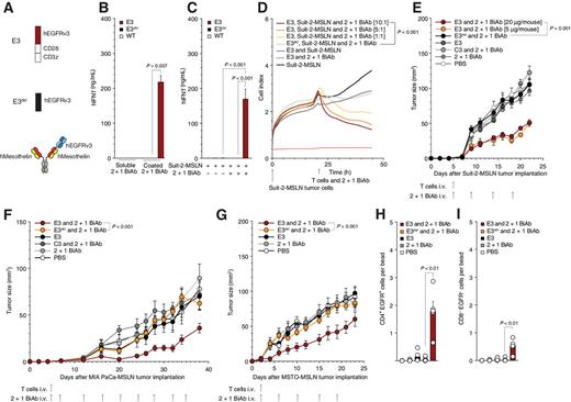 Figure 4. Anti-human mesothelin × anti-EGFRvIII 2 + 1 BiAb specifically stimulates SAR T cells and mediates tumor killing only in the presence of mesothelin-positive cells. A, Schematic overview of the constructs used in experiments for B to E: Trivalent BiAb as well as the constructs E3 and E3del. B, E3, E3del, or untransduced T-cell activation when cultured with either coated or soluble 2 + 1 BiAb (5 μg/mL). C, Quantification of E3, E3del, and untransduced T-cell activation in coculture with Suit-2-MSLN tumor cell (E:T 10:1). D, Real-time Suit-2-MSLN tumor cell lysis by E3 or E3del T cells with indicated E:T. E, NSG mice inoculated s.c. with Suit-2-MSLN were treated with a single i.v. injection of E3 T cells only (n = 5), E3 T cells + 20 μg BiAb (n = 10), E3 T cells + 5 μg BiAb (n = 5), E3del T cells + 20 μg BiAb (n = 5), C3 T cells + 20 μg BiAb (n = 5), 20 μg BiAb only (n = 5), and PBS (n = 5), followed by a total of four BiAb injections as indicated. F, NSG mice inoculated s.c. with MIA PaCa-MSLN were treated with a single i.v. injection of E3 T cells only (n = 6), E3 T cells + 10 μg BiAb (n = 10), E3del T cells + 10 μg BiAb (n = 6), C3 T cells + 10 μg BiAb (n = 6), 10 μg BiAb only (n = 6), and PBS (n = 6), followed by a total of 10 BiAb injections as indicated. G, NSG mice inoculated s.c. with MSTO-MSLN-LUC were treated with a single i.v. injection of E3 T cells only (n = 5), E3 T cells + 10 μg BiAb (n = 5), 10 μg BiAb only (n = 5), and PBS (n = 5), followed by a total of four BiAb injections as indicated. H and I, Tumors from the mice in experiment 4G were FACS analyzed for T-cell infiltration. Following a drill down through the CD45 and CD3 gates, the EGFR+ CD4 (H) and CD8 (I) T-cell populations were quantified and are depicted as a ratio of cells per bead. In vitro experiments show mean values ± SEM of at least triplicates and are representative of at least three independent experiments. P values are based on two-sided unpaired t test. Impedance-based cytotoxicity assays were performed in duplicates for technical reasons. For impedance-based cytotoxicity assays, the total curve over time was compared. In vivo experiments shown are representative of two independent experiments. Analysis of differences between groups for the tumor growth curves was performed using two-way ANOVA with correction for multiple testing by the Bonferroni method. P < 0.05 was considered statistically significant.