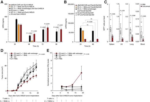 Figure 5. E3-MSLN BiAb selectively activates E3 T cells while its depletion results in rapid and complete reversibility of SAR T-cell stimulation. A, B, For BiAb depletion, Suit-2-MSLN (A) or Panc02-OVA-EpCAM (B) tumor cells were repeatedly cocultured with E3 T cells with or without readjustment of the BiAb concentration (5 μg/mL). Control condition utilized anti-MSLN-CAR or anti-EpCAM-CAR T cells, respectively (E:T 10:1). C, Analysis of remaining E3-GFP T cells in spleen, lymph node, blood, and lung after cetuximab administration. D and E, NSG mice inoculated s.c. with Suit-2-MSLN (n = 5/group) were treated with a single i.v. injection of E3 T cells only, E3 T cells + 10 μg BiAb—redosed, E3 T cells + 10 μg BiAb—single dose, and PBS, followed by a total of six BiAb injections as indicated. Significance of nonredosed group versus E3 only at day 12 (P = 0.026; E). Mice were bled 3, 6, 10, and 16 days after T-cell transfer to quantify T-cell activation by IFNγ serum levels. Data are reported normalized to the values obtained from the single-dose group. In vitro and in vivo experiments show mean values ± SEM and are representative of at least two independent experiments. P values are based on two-sided unpaired t test. Analysis of differences between groups for the tumor growth curves was performed using two-way ANOVA with correction for multiple testing by the Bonferroni method. P < 0.05 was considered statistically significant. ns, not significant.