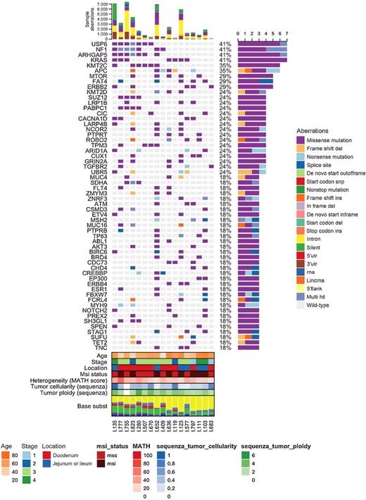Figure 1. Whole exome–based somatic mutational landscape in SBA samples. Color-coded somatic aberrations are shown for by type (missense, nonsense, indels) or location (coding or noncoding) for each WES sample (n = 17), together with relevant clinicopathologic parameters. Only genes with somatic mutation in at least 3 samples are shown.