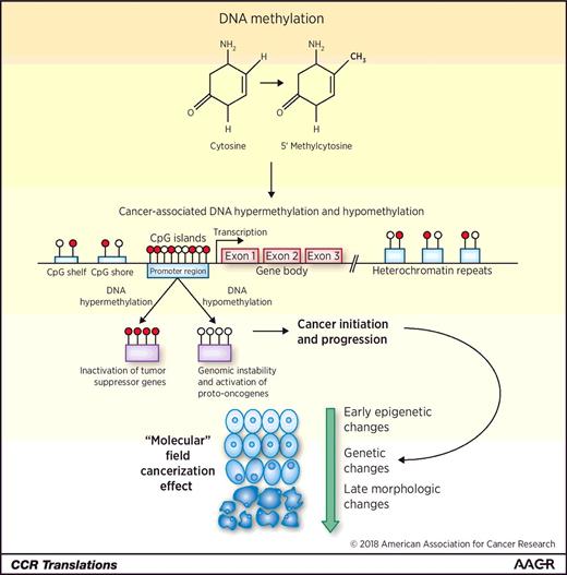 Thyroid Nodule DNA Methylation Signatures An Important Diagnostic