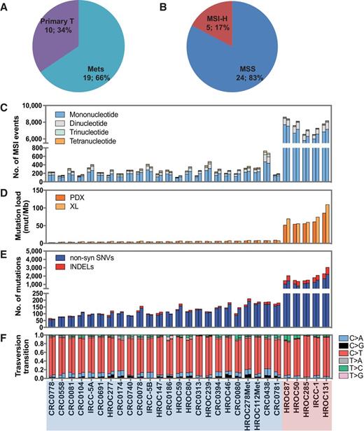 Figure 1. Exome sequencing analysis of XLs matches the profile of the corresponding PDX of origin. A, Site of origin of PDX samples used to generate XLs. B, Relative distribution of microsatellite status in XL cells. C, Number of MSI events in the 29 PDX-XL pairs, stratified by the length of the repeat units identified by exome analysis. D, Mutational load (number of mutations per Mb) in the 29 PDX-XL pairs, as calculated by exome analysis. E, The counts of nonsynonymous mutations (blue bar) and INDELs (red bar) in the 29 PDX-XL pairs, as calculated by exome analysis. F, Mutational spectra in the 29 PDX-XL pairs, as relative proportion of the six different possible base-pair substitutions (nucleotide transitions and transversions). MSS and unstable (MSI-H) cases are highlighted in light blue and light red, respectively. No., number.