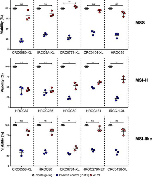 Figure 6. siRNA-mediated WRN depletion assay in 15 selected XLs. Dot plots represent the normalized viability data obtained upon siRNA-mediated WRN depletion (red dots) in 5 MSS (top), 5 MSI (middle), and 5 MSI-like phenotypes (bottom). Nontargeting (gray dots) and PLK1 (blue dots) siRNAs were used as negative and positive controls, respectively. Dots represent mean ±SD of 3 independent experiments with 5 technical replicates each. Statistical significance was calculated comparing WRN siRNA versus nontargeting siRNA: ns, not significant; *, P < 0.05; **, P < 0.01; ***, P < 0.001 (Welch t test).