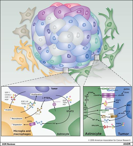 The Evolving Modern Management of Brain Metastasis | Clinical Cancer ...