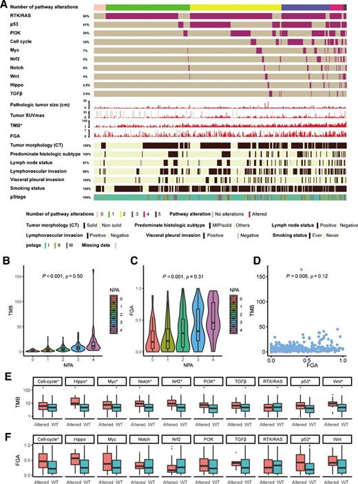Figure 1. Association between pathway alterations and genomic features. A, Oncoprint of all patients. B, Violin plot of TMB versus NPAs. C, Violin plot of FGA versus NPA. D, Scatterplot of TMB versus FGA. Bar plots of TMB (E) and FGA (F) versus pathway alteration status [altered and wild-type (WT)]. SE displayed as error bar. *, logarithmic scale.