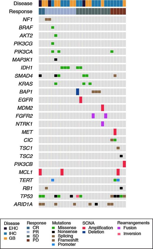 Figure 4. IMPACT oncoprint. Note that in both CR patients, tumor samples for sequencing were obtained at time of disease progression and no pretreatment archival tissue was available.