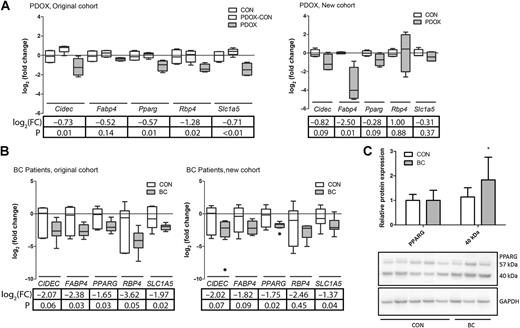Figure 4. qRT-PCR and protein verification and validation of RNA-Seq. qRT-PCR was performed for Pparg and a subset of known and predicted Pparg target genes to both verify and validate the RNA-Seq completed in muscles from BC-PDOX mice and human patients with breast cancer. A, Verification and validation of RNA-Seq in muscle samples from control and BC-PDOX mice. B, Verification and validation of RNA-Seq in muscle samples from control and patients with breast cancer. Each graph includes the log2 (FC) and associated P value for the gene analyzed. C, Protein quantification of PPARγ in muscle samples from control (n = 5) and patients with breast cancer (n = 15). One representative blot is presented. *, P < 0.05.