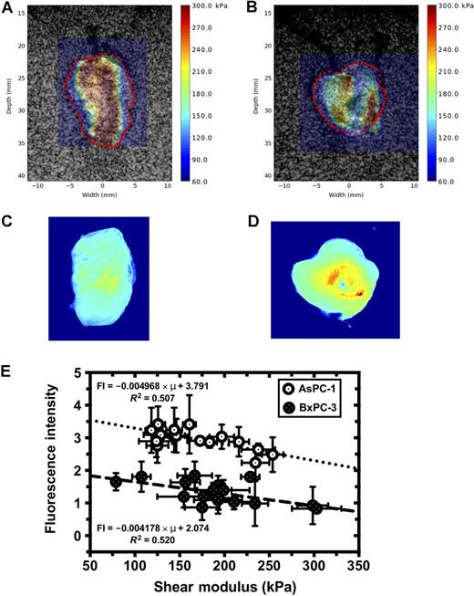 Figure 4. Calibrated fluorescence intensity maps and elastographic imaging obtained from AsPC-1 and BxPC-3 tumors. Shear modulus overlaid on sonograms for an AsPC-1 tumor (A) and a BxPC-3 tumor (B). Calibrated fluorescence intensity maps obtained from the corresponding AsPC-1 (C) and BxPC-3 tumors (D). E, Fluorescence intensity plotted as a function of tumor shear modulus.