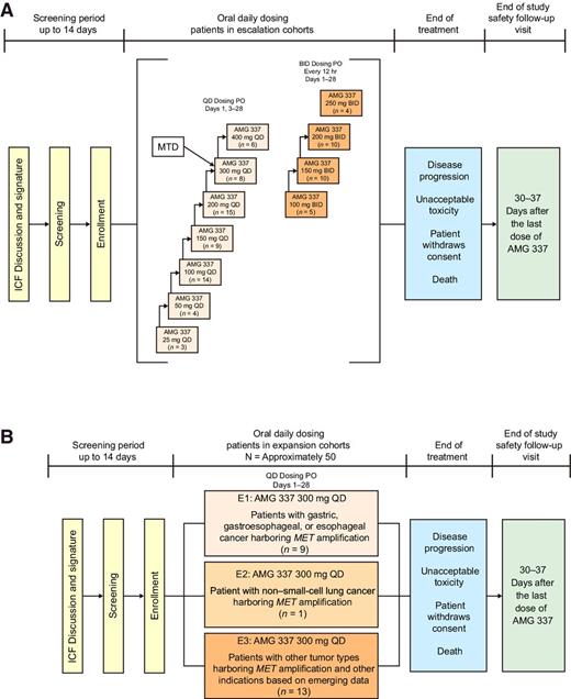 Figure 1. Study design and treatment schedule for once-daily (QD) and twice-daily (BID) dose-escalation (A) and dose-expansion cohorts (B). The once-daily dose-escalation cohorts included doses from 25 mg up to a maximum planned dose of 500 mg; twice-daily dose-escalation cohorts included doses from 100 to 250 mg. If no DLT occurred among the first 3 to 4 patients during the first 28 days of treatment, patients could be enrolled at the next dose level; if a single DLT occurred, 2 to 3 additional patients were added to that cohort; if a second DLT occurred, additional patients were added to that cohort for a total of up to 9 patients; if ≥3 DLTs occurred at any time, enrollment was stopped and a lower dose level considered. Sequential dose escalation continued until the MTD, defined as the highest dose at which <33% of patients experienced a DLT, was reached. During dose escalation, patients with MET amplification or mutation were allowed to enroll at the highest tolerable dose at any time, provided all other eligibility criteria were met. Up to 50 additional patients with MET amplification/mutation or MET overexpression could be enrolled in 3 dose-expansion cohorts at the MTD or maximum planned dose. BID, twice daily; DLT, dose-limiting toxicity; E1, MET-amplified gastric, gastroesophageal, or esophageal cancer; E2, MET-amplified non–small-cell lung cancer; E3, other MET-amplified cancer subtypes; ICF, informed consent form; PO, orally.