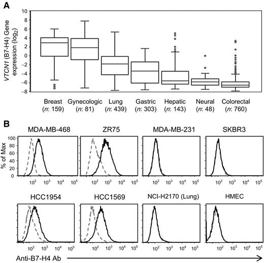 Figure 1. Expression of the B7-H4 gene in breast and gynecologic cancer tissues. A, A comprehensive DNA microarray analysis was performed using 2,527 surgically resected cancer tissue samples, and the major cancer categories are indicated. The box plots of log2-normalized values of VTCN1 (B7-H4) expression are displayed. The data analysis was performed using Microsoft Excel 2016 software. B, The B7-H4 expression in the HMECs and various cancer cell lines was determined by flow cytometry. An in-house anti-B7-H4 mAb (clone #25) was used.