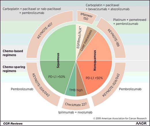 Figure 1. Graphical representation of treatment regimens evaluated in first-line NSCLC immunotherapy studies.