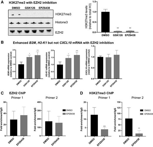 Targeting EZH2 Enhances Antigen Presentation, Antitumor Immunity, and ...