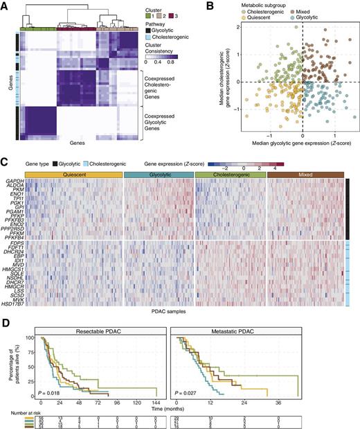 Figure 1. Stratification of PDAC tumors based on expression of glycolytic and cholesterogenic genes. A, Heatmap depicting consensus clustering solution (k = 3) for glycolytic and cholesterogenic genes in resected and metastatic PDAC samples (n = 325). B, Scatter plot showing median expression levels of coexpressed glycolytic (x-axis) and cholesterogenic (y-axis) genes in each PDAC sample. Metabolic subgroups were assigned on the basis of the relative expression levels of glycolytic and cholesterogenic genes. C, Heatmap depicting expression levels of coexpressed glycolytic and cholesterogenic genes across each subgroup. D, Kaplan–Meier survival analysis of patients with resectable (left) and metastatic (right) PDAC stratified by metabolic subgroup. Log-rank test P values are shown.