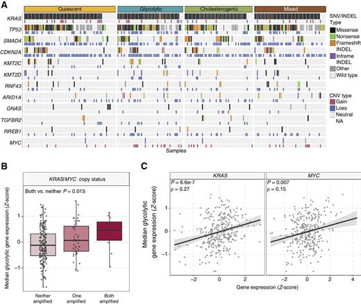 Figure 2. Mutational landscape across metabolic subgroups of PDAC. A, Oncoprint depicting the distribution of somatic mutation (SNV/indel) and copy number variation (CNV) events affecting frequently mutated genes in PDAC across the metabolic subtypes. B, Box plot illustrating median expression of glycolytic genes in samples with KRAS and/or MYC copy number amplification. C, Scatter plot depicting the correlation between median glycolytic gene expression and KRAS (left) and MYC (right) expression.