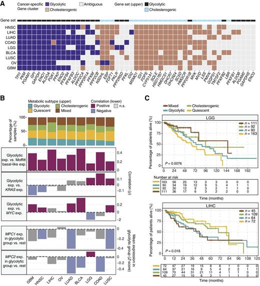 Figure 5. Glycolytic and cholesterogenic gene profiling of other cancer types. A, Heatmap depicting which glycolytic and cholesterogenic genes were robustly coexpressed when consensus clustering was applied to each individual cancer type. B, Bar plots depicting the proportions of metabolic subgroups across the various cancer types (top) and correlation between glycolytic subgroups and expression of basal-like genes (4), KRAS, MYC, and MPC1/2 in each cancer type (bottom). Median glycolytic gene expression was positively (Spearman ρ > 0, BH-adjusted P < 0.05) correlated with basal-like gene expression in all cancer types. The correlation between MPC1/2 expression and the glycolytic subgroup was measured using Wilcoxon rank sum tests followed by BH correction. C, Kaplan–Meier survival analysis curves showing differences in median overall survival across metabolic subgroups in LGG (log-rank P = 0.0076) and LIHC (P = 0.018).