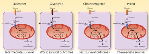 Figure 1. Metabolic subtypes and patient survival outcomes in PDAC. The illustration depicts different metabolic subtypes characterized on the basis of the mRNA expression profiles of genes involved in glycolysis or cholesterogenesis. Patients with high tumoral expression of genes in the glycolysis pathway fall in the glycolytic cohort that shows the worst patient outcomes. Patients with increased tumoral expression of genes in the cholesterogenesis or sterol biosynthesis have the best survival outcomes. Patients with low gene expression for both the pathways and high expression of both the pathways show trends for intermediate survival.