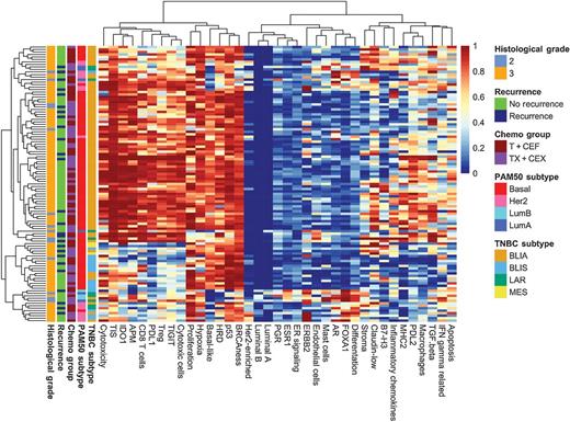 Figure 1. Expression levels of selected gene and metagene signatures in the 770-gene panel. Heat map shows the expression of 37 biologically important individual genes and metagenes in 111 triple-negative breast tumors in the FinXX trial. Rows represent patients, and columns represent genes and metagenes. The rows and columns have been grouped using unsupervised clustering. Gene-expression scores range from 0 to 1 as mapped to quantiles of the population defined by breast invasive carcinoma cohort data in TCGA.
