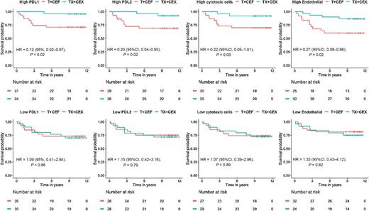 Figure 3. RFS according to the expression status of selected genes and metagenes that were significantly associated with capecitabine benefit. Kaplan–Meier survival curves showing RFS stratified according to the expression status of biologically important genes and metagenes. Expression status was derived from the median gene-expression scores and compared between each FinXX treatment arm (arm A: T + CEF vs. arm B: TX + CEX). Hazard ratios, 95% confidence intervals, and unadjusted P values are displayed.