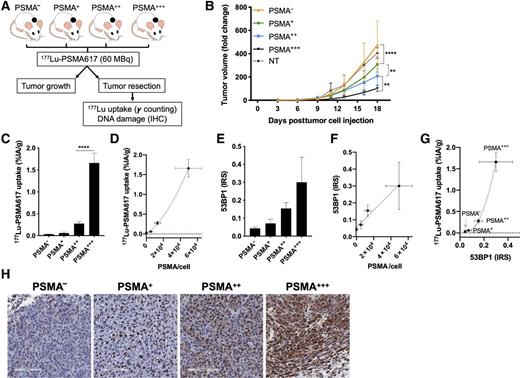 Investigating PSMA-Targeted Radioligand Therapy Efficacy as a Function ...