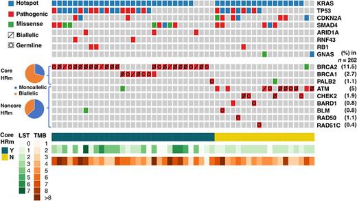 Figure 1. OncoPrint: pathogenic alterations of HR genes and recurrent gene alterations from 50 patients with HRD are depicted (1 patient had both germline and somatic BRCA variants). For each sample, mutation profile is shown in a column including eight recurrently mutated genes (top) and nine candidate HR genes (bottom). Pathogenic alterations included frameshift, truncating, splice site, or known pathogenic missense mutations, annotated by OncoKB. The labeling priority was in the order of hotspot alteration, pathogenic alteration, and missense VUS. cHRm (BRCA1, BRCA2, and PALB2) is shown as a track with green and yellow color bar. The level of genomic instability of each sample is depicted by LST score and TMB (mutation/MB) in the bars below. Biallelic HRm is annotated with a diagonal line, whereas germline mutations are annotated with circles inside the square. Abbreviations: HRD, homologous recombination deficiency; LST, large-scale state transition; TMB, tumor mutation burden; HRm, HR mutation(s).