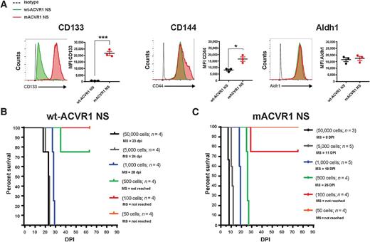 Figure 4. Increased expression of stem cell markers and greater tumor initiation potential in mACVR1 NS compared with WT ACVR1 NS. A, Levels of CD133, CD44, and Aldh1 in the tumor microenvironment of mice bearing wt-ACVR1 or mACVR1 was assessed when animals displayed signs of tumor burden. Representative histograms display each marker's expression (green, wt-ACVR1; red, mACVR1). MFI = mean fluorescence intensity; *, P < 0.05; ***, P < 0.001; unpaired t test. Bars represent mean ± SEM (n = 3 biological replicates). B and C, In vivo tumor initiation capacity. Kaplan–Meier survival curves for mice intracranially implanted with different numbers of wt-ACVR1 (B) or mACVR1 NS (C) as indicated in the plot.
