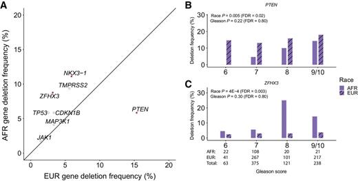 Figure 2. Copy-number alterations associated with race and Gleason score across four prostate cancer cohorts. A, Gene deletion frequencies associated with race were identified with a logistic regression model containing race, Gleason score, and age (AFR: 171, EUR: 626). Solid purple points represent genes significantly associated with race (FDR < 0.05). B, The frequency of PTEN deletions was significantly lower in AFR men (FDR < 0.05). Differences between groups were most pronounced in Gleason 6 and 7 tumors. C, The frequency of ZFHX3 deletions was significantly higher in AFR men (FDR < 0.05).