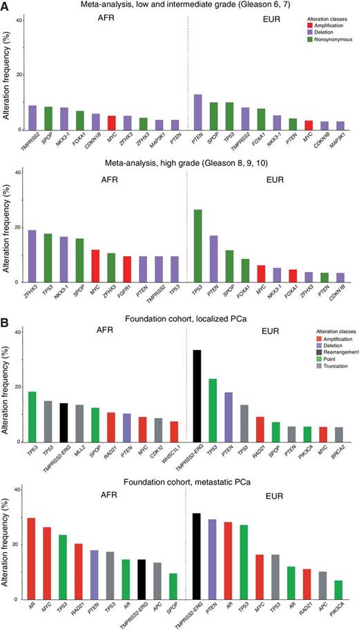 Figure 6. Top 10 most frequently altered genes in AFR and EUR men. A, The 10 most frequent alterations are shown from AFR and EUR patients in the meta-analysis cohort for tumors with low- and intermediate-grade disease (top; Gleason scores 6, 7) and high-grade disease (bottom; Gleason scores 8, 9, and 10). Gene alteration classes considered include nonsynonymous mutations, amplifications, and deletions. B, The 10 most frequent alterations in AFR and EUR patients in the Foundation Medicine cohort for tumors with localized prostate cancer (top) and metastatic prostate cancer (bottom). Gene alteration classes considered include amplifications, deletions, rearrangements, point (missense) mutations, and truncations.